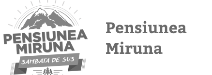 Pensiunea Miruna