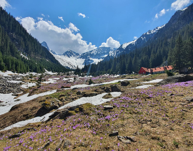 Cabana Valea Sambetei