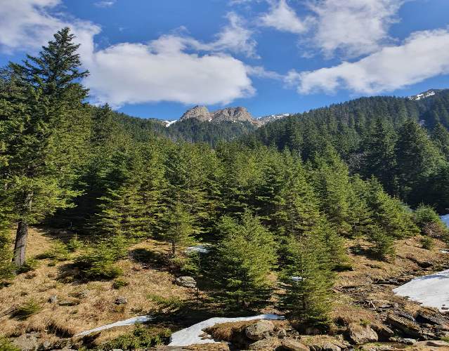 Cabana Valea Sambetei